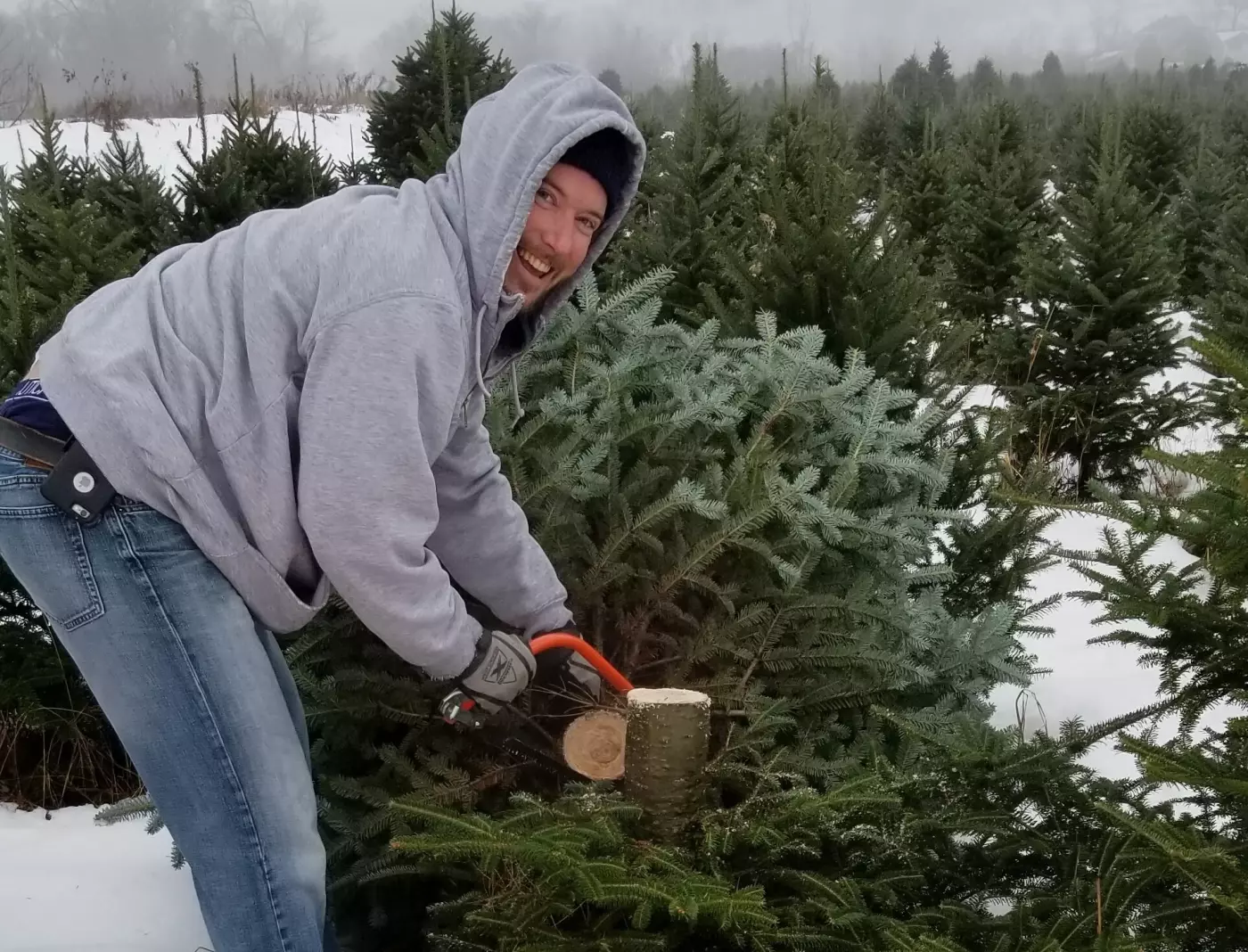 Taylor Sears cutting down a Christmas tree in a snowy field of evergreen trees.