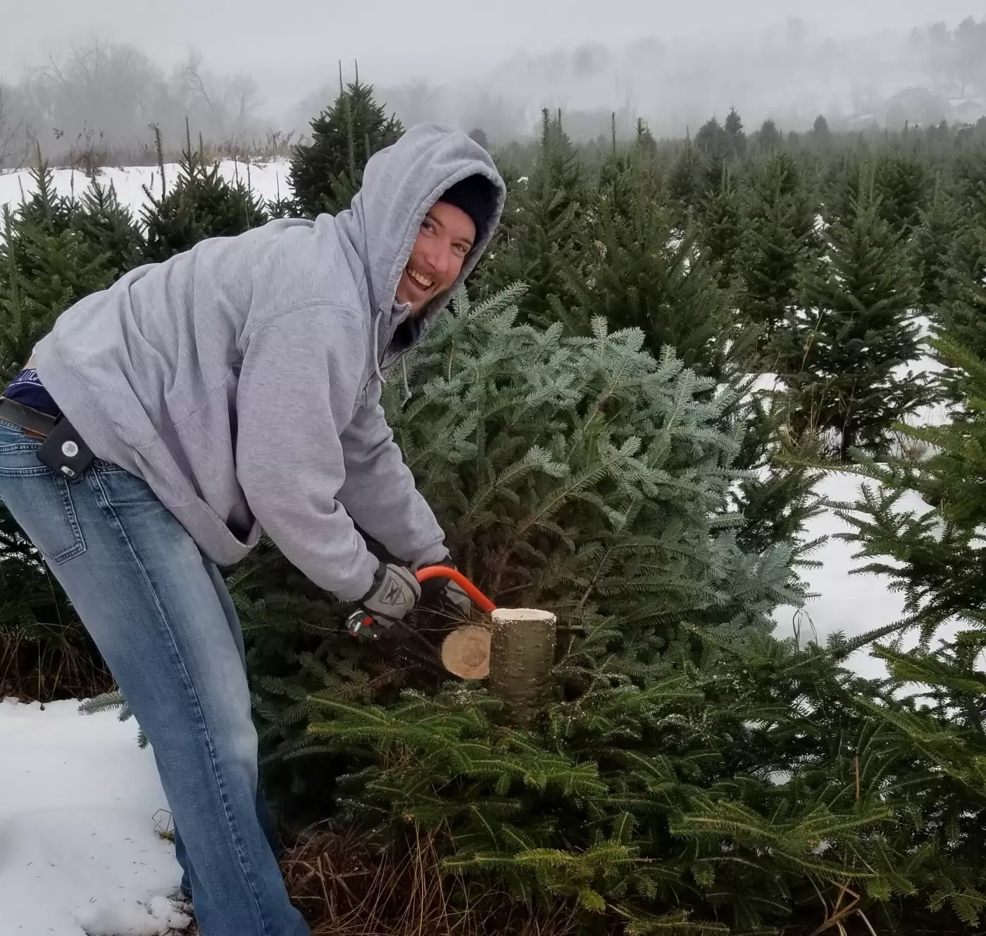 Man in a hoodie cutting down a Christmas tree in a snowy field.