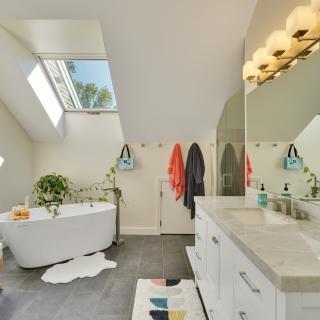 Bright, modern bathroom with a freestanding tub, skylights, and leafy plants on display.